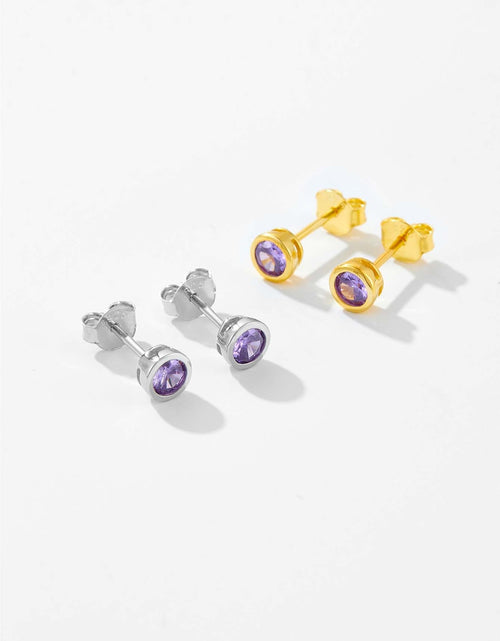 Load image into Gallery viewer, 925 Sterling Silver Inlaid Zircon Stud Earrings
